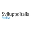 Logo Agenzia Regionale Per Lo Sviluppo Dl Molise - Sviluppo Italia Mol Ise Spa