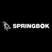 Logo Springbok Srl