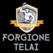 Logo Telai Forgione Srl Semplificata