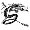 Logo Dragonpack Srl