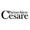 Logo Parrucchiere Cesare S.n.c. Di Montesano Cesare & C.