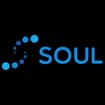 Logo Soul Srl