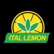 Logo Ital Lemon Spa