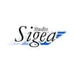 Logo S.i.ge.a. Srl
