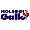 Logo Gallo Mario S.n.c.