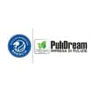 Logo Pulidream Srl