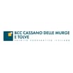 Logo Banca Di Credito Cooperativo Di Cassano Delle Murge E Tolve - Società Cooperativa