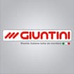 Logo Landini Giuntini Spa