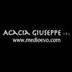 Logo Acacia Giuseppe Srl