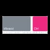 Logo Vibracci Consulting Srl