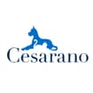 Logo Cesarano Srl
