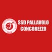 Logo Pallavolo Concorezzo Società Sportiva Dilettantistica A R.l.