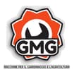 Logo Gmg Srl