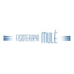 Logo Fisioterapia Mule' S.a.s. Di Mule' Claudio