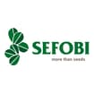 Logo Sefobi Srl
