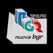 Logo Nuova B.g.r. Srl
