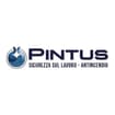 Logo Pintus Sicurezza Srl