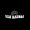 Logo Laboratorio Via Napoli Srl