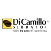 Logo Di Camillo Serbatoi S.r.l