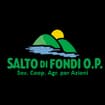 Logo Salto Di Fondi O.p. Società Cooperativa Agricola Per Azioni