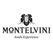 Logo Montelvini Srl