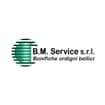 Logo B.m. Service Srl