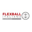 Logo Flexball Italiana Srl