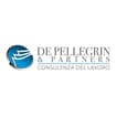 Logo De Pellegrin & Partners Srl - Società Tra Professionisti
