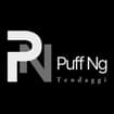 Logo Puff Srl