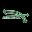 Logo Ambrosi Srl