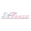 Logo Pegaso Srl