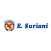 Logo Enrico Suriani Srl