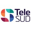 Logo Telesud 3 Srl