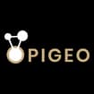 Logo Opigeo Srl
