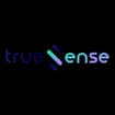 Logo Truesense Srl