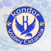 Logo A.s.d. Volley Academy Wekondor Catania