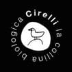 Logo Cirelli La Collina Biologica Srl Enunciabile In Breve: "Cirell I La Collina Biologica", "Francesco Cirelli", "Azienda Agricola Cirelli Francesc O", "La Collina Biologica", "Cirelli", "Azienda Agricola Cirelli", "Cirelli Wine S", "I.c.q.r.f. It/Te/5144", "I.c.q.r.f. It/Pe/5742", "I.c.q.r.f. It/Ch/20595"