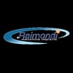 Logo Raimondi Srl