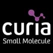 Logo Curia Italy Srl