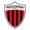 Logo "Nocerina Calcio 1910 - Società Sportiva Dilettantistica A Respo Nsabilita' Limitata", In Forma Abbreviata "Nocerina Calcio 1910 S.s.d. S. S.r.l