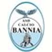 Logo Associazione Sportiva Dilettantistica Calcio Bannia In Forma Abbr Eviata "Asd Calcio Bannia"