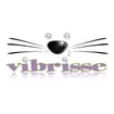 Logo Vibrisse Di Filippini Barbara