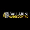 Logo Ballarini Nicolo'