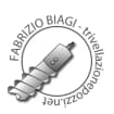 Logo Biagi Federico