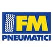 Logo Fm Pneumatici Di Murrone Federica