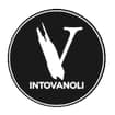 Logo Intovanoli Srl