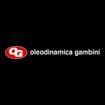 Logo Oleodinamica Gambini Srl