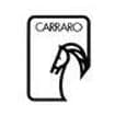 Logo Carraro Srl