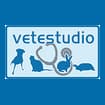 Logo Vetestudio Ss Immobiliare