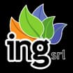 Logo Ing Srl